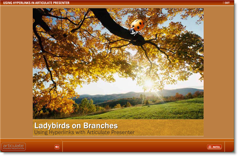 Ladybirds on Branches - Demo Presentation