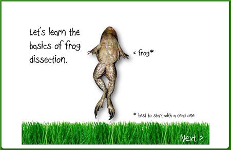 The Rapid E-Learning Blog - frog dissection example