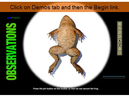 The Rapid E-Learning Blog - Froguts.com demo