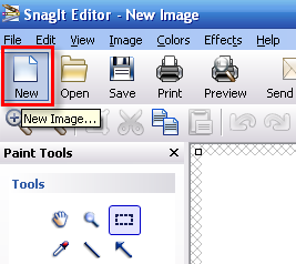 Articulate 101: How to Use Multiple Images in a Quizmaker Question ...