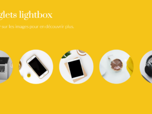 Storyline : onglets interactifs avec diapositives Lightbox