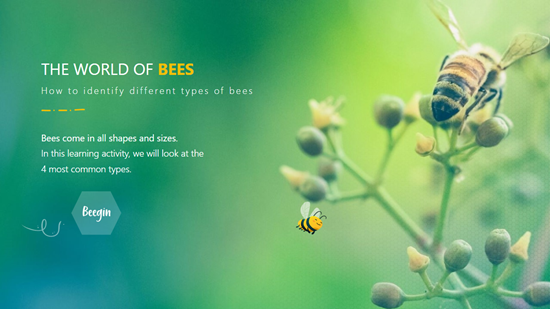 e-learning example bees